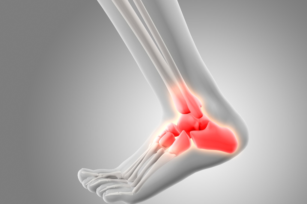 red-ankle-bones (1).jpg